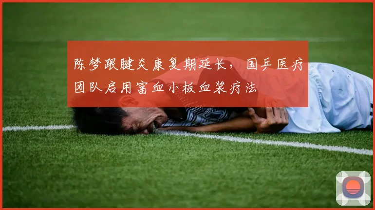 陈梦跟腱炎康复期延长，国乒医疗团队启用富血小板血浆疗法